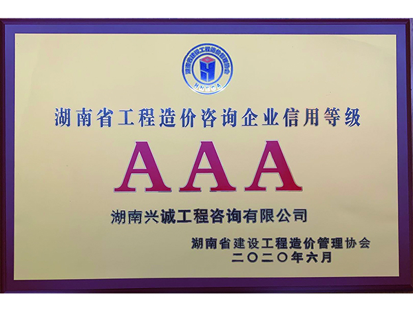 2020湖南省协会信用等级AAA